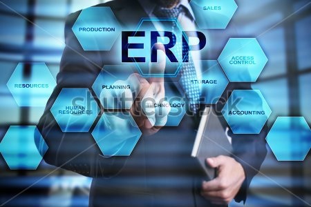 Customized Virtual ERP 